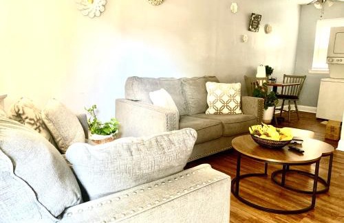 Midtown Apartment | Near XAi Data Center-Medical District-Valero-Kellog