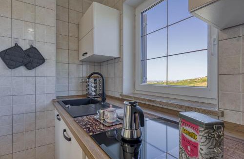 Brda Apartment | Neda Apartment In Krasno Among Vineyard - Happy Rentals