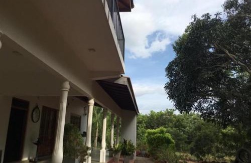 Pallama House | Neem Tree Villa