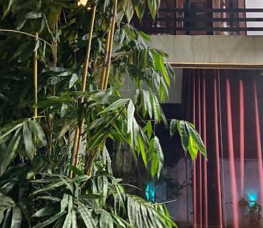 Nuwaragam Palatha Central Hotel | Nelumpura Resort