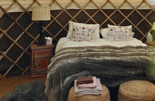 Beaworthy House | Nemetona