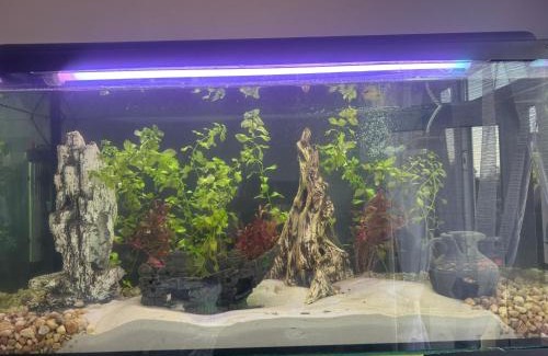 Kielce Apartment | NEMO z łóżkiem wodnym i bezpłatnym parkingiem