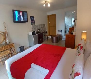 Ottery Apartment | Neo & Ruks Guest Houses Boston Belleville 5