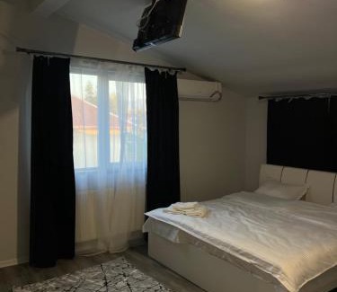 Sighetu Marmatiei Apartment | Nesto Rooms