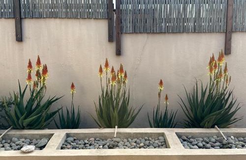 Yzerfontein House | NetReg