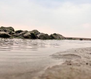 Heysham House | Nettle Cottage