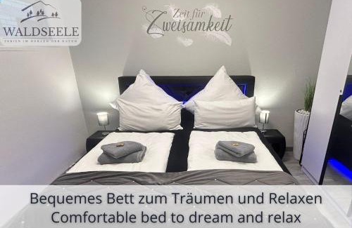 Schonach im Schwarzwald Apartment | NEU Exklusives Apartment Waldseele mit Indoor-Pool, Sauna, top Lage und Ausblick in die Natur, Hunde willkommen