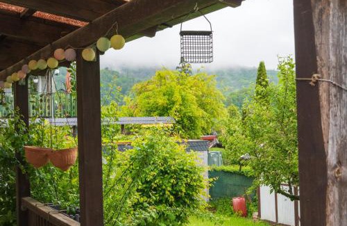 Zorge House | NEU im Harz, Das Haus am Wald mit privater Sauna, frisch renoviert