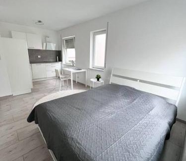 Bad Nauheim Apartment | Neu sanierte Einzimmerwohnung