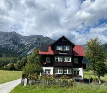 Ramsau am Dachstein Apartment | Neues Luxus APARTMENT DACHSTEIN - Ramsau am Dachstein - inklusive SOMMERCARD !