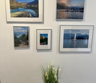 Altmuenster Apartment | Neues Traunsee Apartment Altmünster