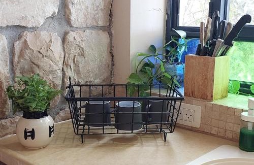 Rosh Pinna Apartment | Neve Nof