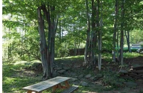 Hunter Ski Chalet | Never Lonesome Hunter: Smart 4bd Getaway near Mtn