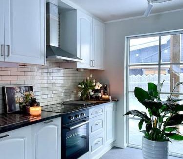 Trysil Apartment | New apartment near the lifts tourist center Trysil