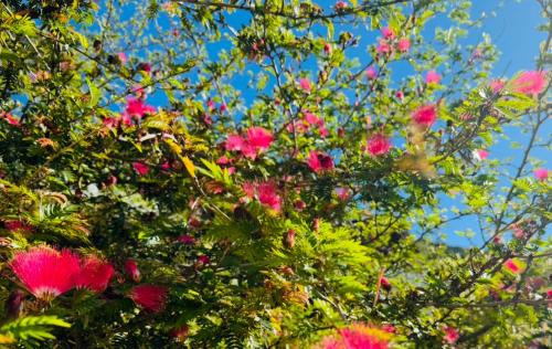 San Marcos La Laguna Apartment | NEW Atitlan Lakefront, Casa Sabiduria