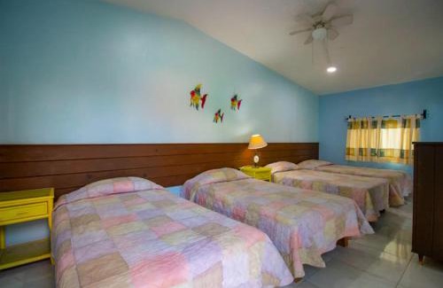 Jiutepec Apartment | New Bamboo Quinta Maravilla