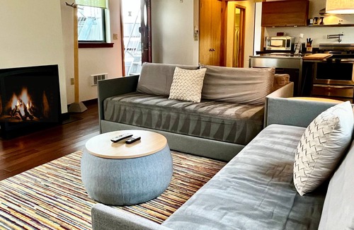 Friday Harbor Apartment | ✨NEW✨ Bright in-town Penthouse with roof deck 😎