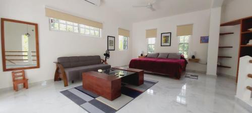 Cozumel Villa | NEW! CASA XOLA Cenote and Fauna Loft