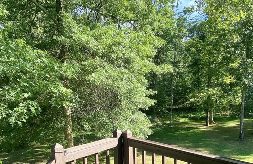 Thompson Ridge Apartment | *NEW* Cozy Apt With Large Outdoor Space, Sleeps 4, Close to Hiking And Wineries
