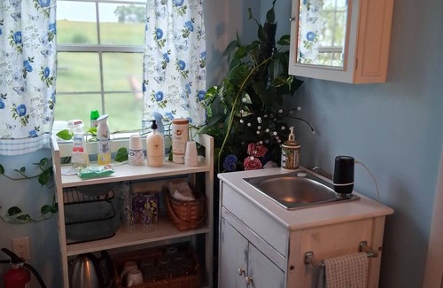 Mount Jackson Cabin | NEW! Cozy Tiny Home Retreat on Shenandoah Valley Farm