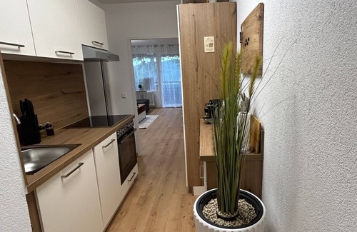 Schonach im Schwarzwald Apartment | NEW: Exclusive Waldliebe apartment with indoor pool and sauna
