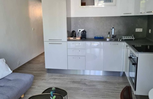 Cimiez Apartment | New garden apartment in a villa with garden and private pool