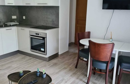 Cimiez Apartment | New garden apartment in a villa with garden and private pool