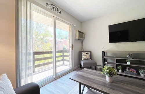 Canton Apartment | *New Hof Apt!* - Balcony - Pet Friendly - Sleeps 4