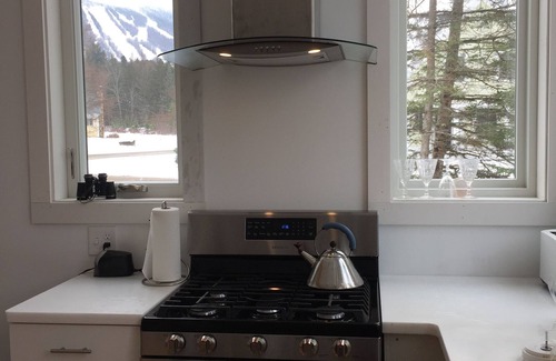 East Burke House | New home with mountain views! Great for trail side biking. Monthly discount.