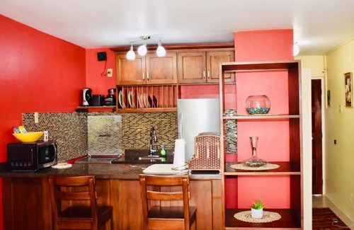 New Kingston Apartment | New Kingston Guest Apartment At Chelsea
