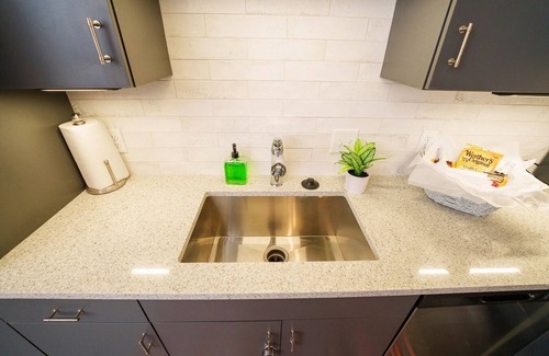 Pinch District Condo | ⭐️New Listing⭐️ Luxurious Condo Downtown Memphis