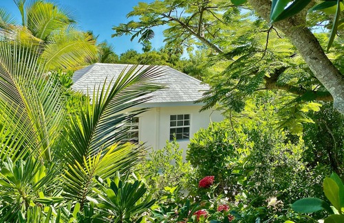 Leeward Settlement Villa | New Listing 60 Second Walk to Grace Bay Beach! 1BR, Lush Gardens! New Villa!