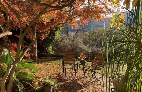Three Rivers House | NEW LISTING!*TRANQUIL SLICE OF PARADISE- PRIVATE! Secluded!