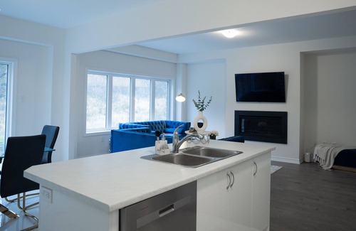 Brantford House | New Luxury Home in Paris/ Brant- Executive Rentals
