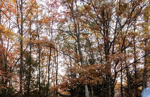 Jim Thorpe Ski Chalet | *NEW* Luxury modern chalet on 10 Acres in the Pocono mountains