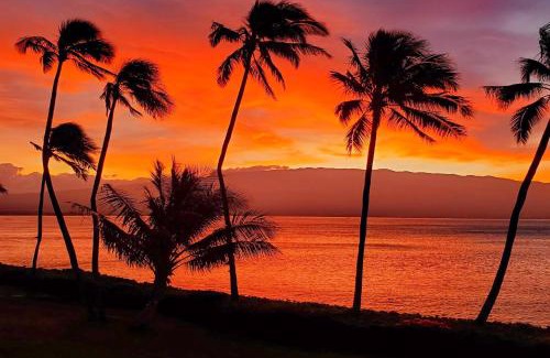 Maalaea House | New! Maalaea Banyans 204 - Expansive Ocean Views!