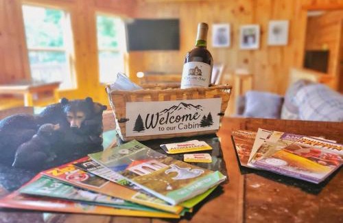 Sautee Nacoochee House | New Mtn Views Hot Tub Arcade Chess