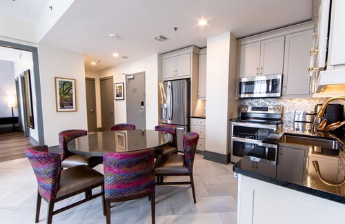 Central Business District Apartment | New Orleans Super Bowl LIX accommodations, one bdrm deluxe, sleeps 4. Feb 7-14th