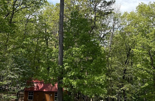 Rogers Cottage | NEW! Pinewood Hollow—2 BDR retreat just minutes from Beaver Lake and Rogers