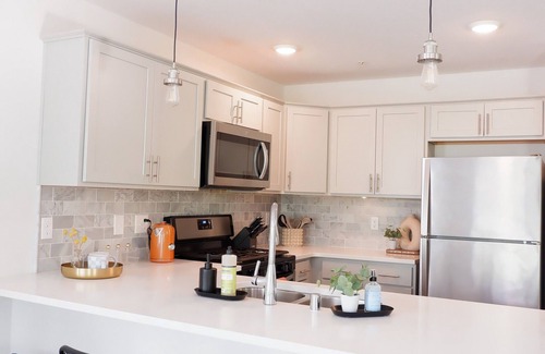 Northeast Minneapolis Arts District House | NEW! Retro Urban Retreat - 5 bd in Northeast Minneapolis with roof top deck