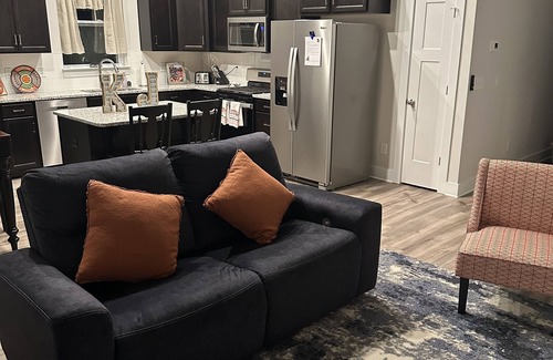 Central House | New Tigertown Home