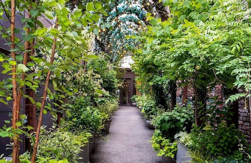 SoHo Hotel | New York Botanical Garden Tour! 4 Pet-friendly Suites!