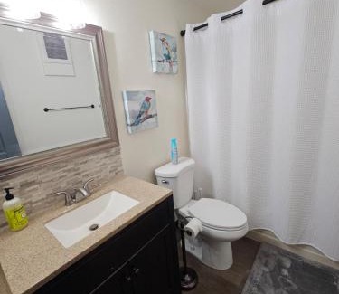 Fairbanks Apartment | Newly Remodeled 3 Bedroom - Bright & Centrally Located Stay