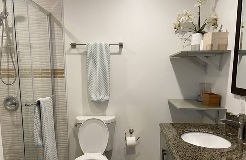 San Carlos House | Newly Remodeled! Large Bright Modern House Central