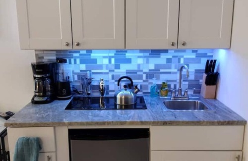 Paradise Lakes Apartment | Newly Remodeled Studio M4-S @ Paradise Lakes Clothing Optional Resort