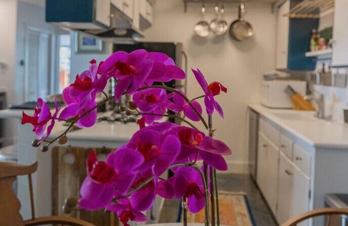 Dana Point House | Newly remodeled, uniquely styled property surrounded by botanical-like garden setting.