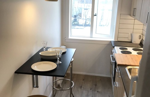 Downtown Apartment | Newly renovated apartment in ♥great location♥
