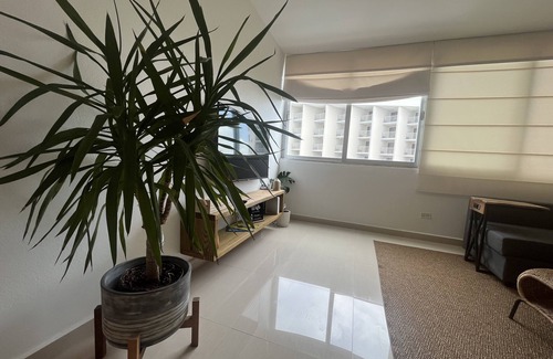 Carolina Apartment | "Newly Renovated Beachside Oasis with All You Need!"n
