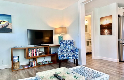 St. Augustine Beach Cottage | Newly Renovated Ground floor 1BR + Office/Den Cottage on Oceanfront Property with Pool Access, Pet Friendly