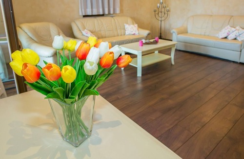 Radetici Cottage | Newly renovated stone villa with pool and large property ideal for 10 people